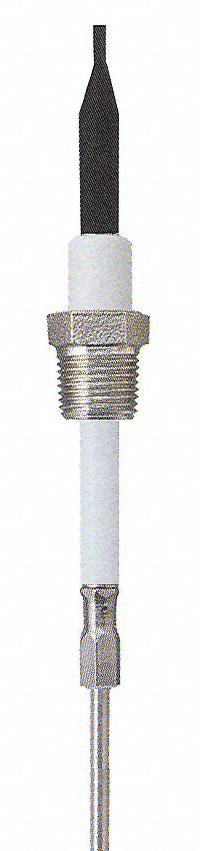 LUMENITE Liquid Level Probe: 2 Probes, NPT, 3/8 in Process Connection Size, 12 in Probe Lg (MPN PHST38Q12"UJ). Key specifications — attr1387774: LUMENITE; attr1389795: Stainless Steel.