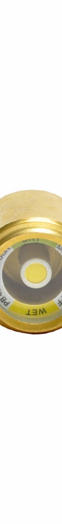 RANCO Sight Glass: Brass, 4 in Lg (MPN RSG-2S). Key specifications — Brand: RANCO; Material: Brass.