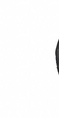 DAYTON Seal: Mfr Part # PPTPXW806G, 5PXW8/5PXW9/5PXX0/5PXX1/5PXX2/5PXX4. Key specifications — Manufacturer Part Number: PPTPXW806G; Gasket Material: Carbon; Compatible with Manufacturer Model Number: 5PXX0; Compatible with Pump Type: Straight Centrifugal; Compatible with Grainger Part Number: 5PXX4; Compatible with Brand: Dayton.