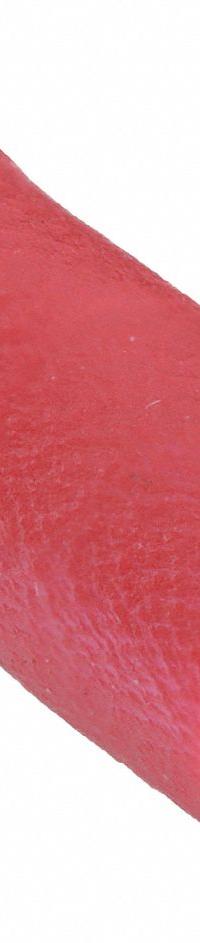 GRAINGER Wire Disconnect: Female Socket, Red, Vinyl, Full Coverage, 22 AWG – 16 AWG Wire Size (MPN 24C881). Key specifications — Brand: GRAINGER; Manufacturer Part Number: 24C881.