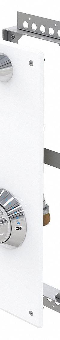 BESTCARE Shower Faucet Panel: WH418, 1.5 gpm Fixed Showerhead Flow Rate, Brass, Ligature-Resistant (MPN WH418-CSH). Key specifications — ADA Compliant: ADA Compliant; Series: WH418; Connection Type: NPT; Includes: Mounting Frame; Material: Brass.