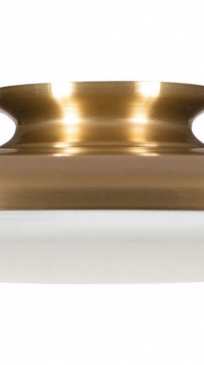 AFX INC. LED Flush Mount: 19 in Dia - Skye Semiflush-Mount Lights