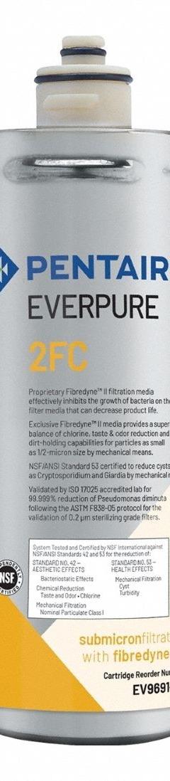 EVERPURE Quick-Connect Water Filter: 0.2 micron, 1.5 gpm, 6,000 gal, 10 1/4 in Overall Ht (MPN EV969156). Key specifications — Filter Media: Carbon; Reduces: Chlorine Odor; Brand: EVERPURE.