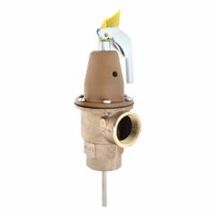 WATTS Pressure Safety Relief Valve: Section XIII ASME Section, FNPTF x FNPTF, Copper Silicon Alloy (MPN 0121602). Key specifications — Brand: WATTS; Body Material: Copper Silicon Alloy.