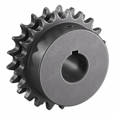 TRITAN Roller Chain Sprocket: 40-2, For 1/2 in Chain Pitch, 1 in Bore Dia, 21 Teeth - Size 40-2 Fixed-Bore Roller Chain Sprockets