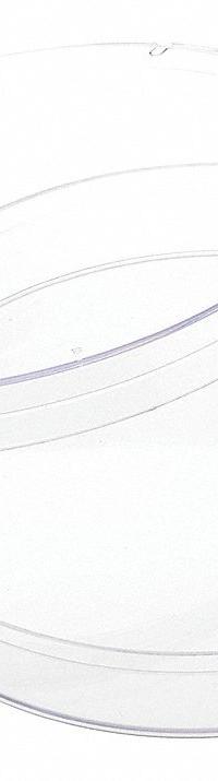 Petri Dish: 100 mm Dia, 15 mm Overall Ht, No Surface Treatment, Polystyrene, Sterile, Clear (MPN 229697). Key specifications — Material: Polystyrene; Brand: CELLTREAT; Surface Type: No Surface Treatment.