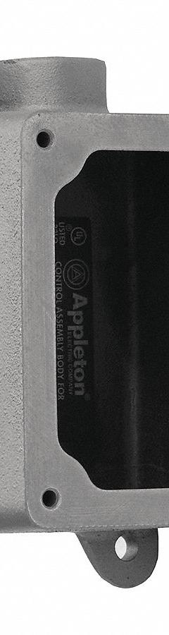 APPLETON ELECTRIC Mounting Body: 1 Gangs, Iron, 3/4 in Hub Size, Feed Through, 6 1/8 in Overall Ht (MPN EFDC175-NL-Q). Key specifications — Brand: APPLETON ELECTRIC; Hub Type: Feed Through.