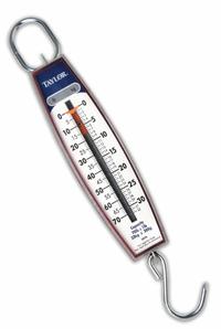 TAYLOR Mechanical Hanging Scale: kg/lb, 1 lb/500 g, Analog Linear, 70 lb Wt Capacity - Imperial (MPN 3070). Key specifications — attr1360454: Hook; attr1360455: TAYLOR; attr1360442: lb; attr1360445: 1 lb.