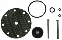 WATTS Pilot Rebuild Kit: CP16RK