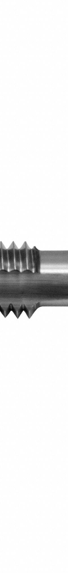 CHICAGO-LATROBE Spiral Point Tap: M6x1 Metric, D5 / 6H, 2 Flute, Bottoming Chamfer, High Speed Steel (MPN 173044)