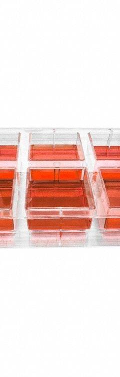 HEIDOLPH Tissue Culture Well Plate: Sterile, 6 Wells, 4 mL, Round, Cyclic Olefin Copolymer (MPN 036140002). Key specifications — Brand: HEIDOLPH; Well Shape: Round; Material: Cyclic Olefin Copolymer.