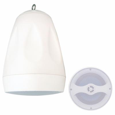 SPECO TECHNOLOGIES Speaker: Passive, 2-Way, 8 ohm Impedance, 12 1/2 in Overall Ht - Pendant-Mount Speakers