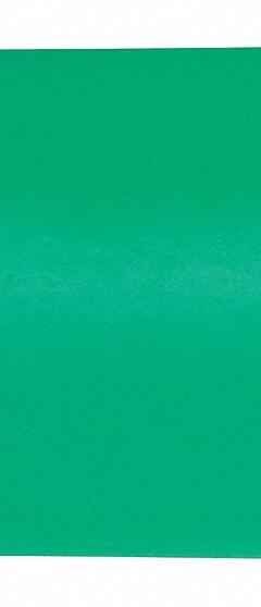 3M Heat Shrink Tubing: 0.38 in I.D. Before Shrinking, 0.19 in I.D. After Shrinking, 200 ft Lg, 3 PK (MPN FP301-3/8-200'-GREEN-SPOOL). Key specifications — Color: Green; Brand: 3M.