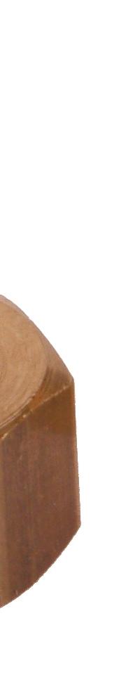 D6 swivel coupling F1/4